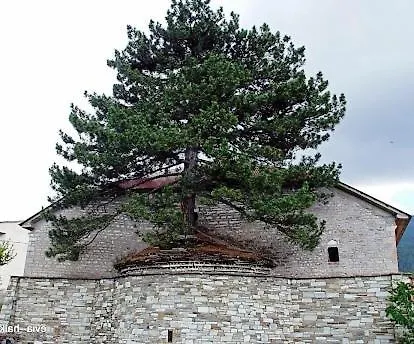 Chotos Guest house *