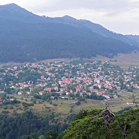 Chotos Guest house Samarina