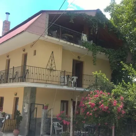 Chotos Guest house